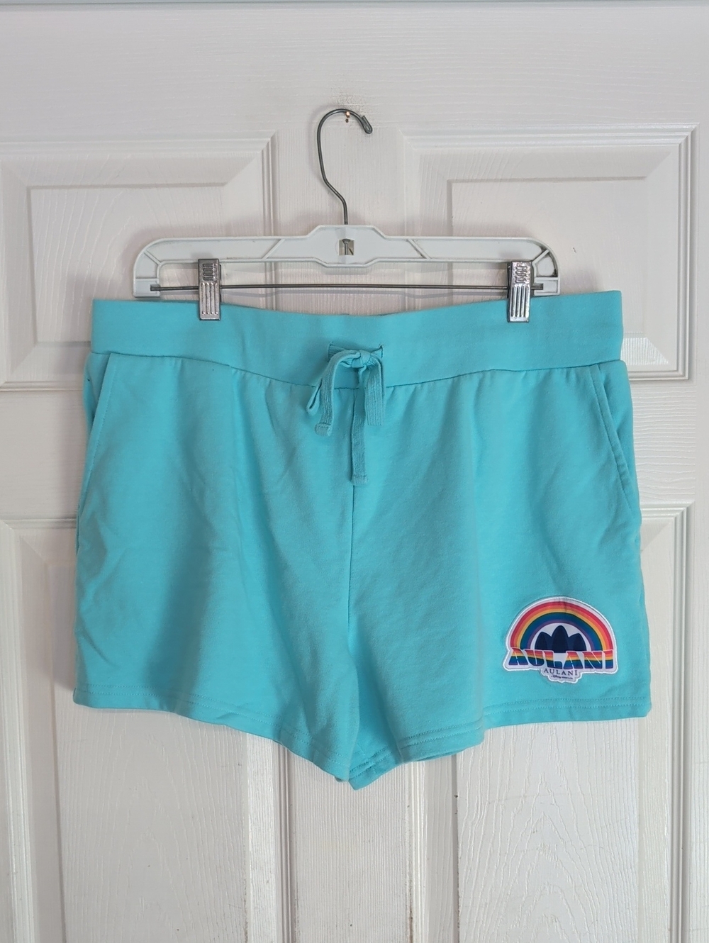 Disney Aulani Shorts Pride Collection Women XL